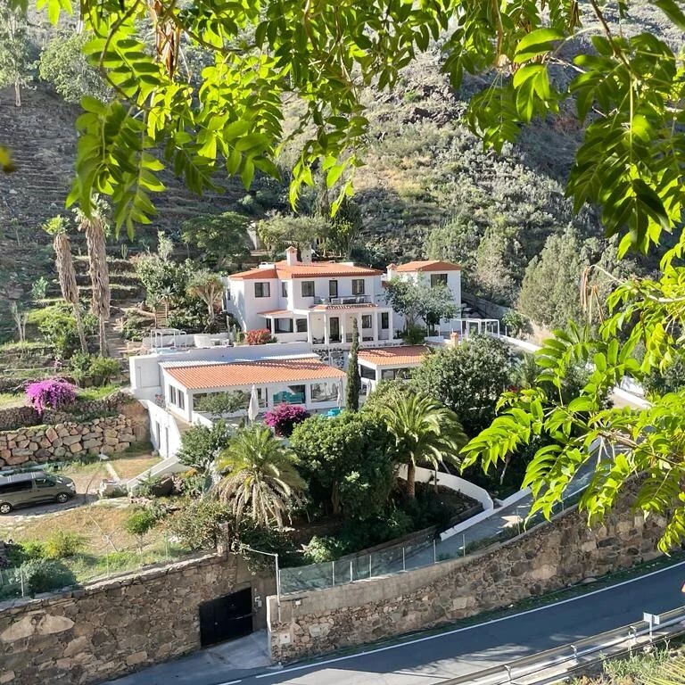 Aya House surrounded by trees in a mountain valley